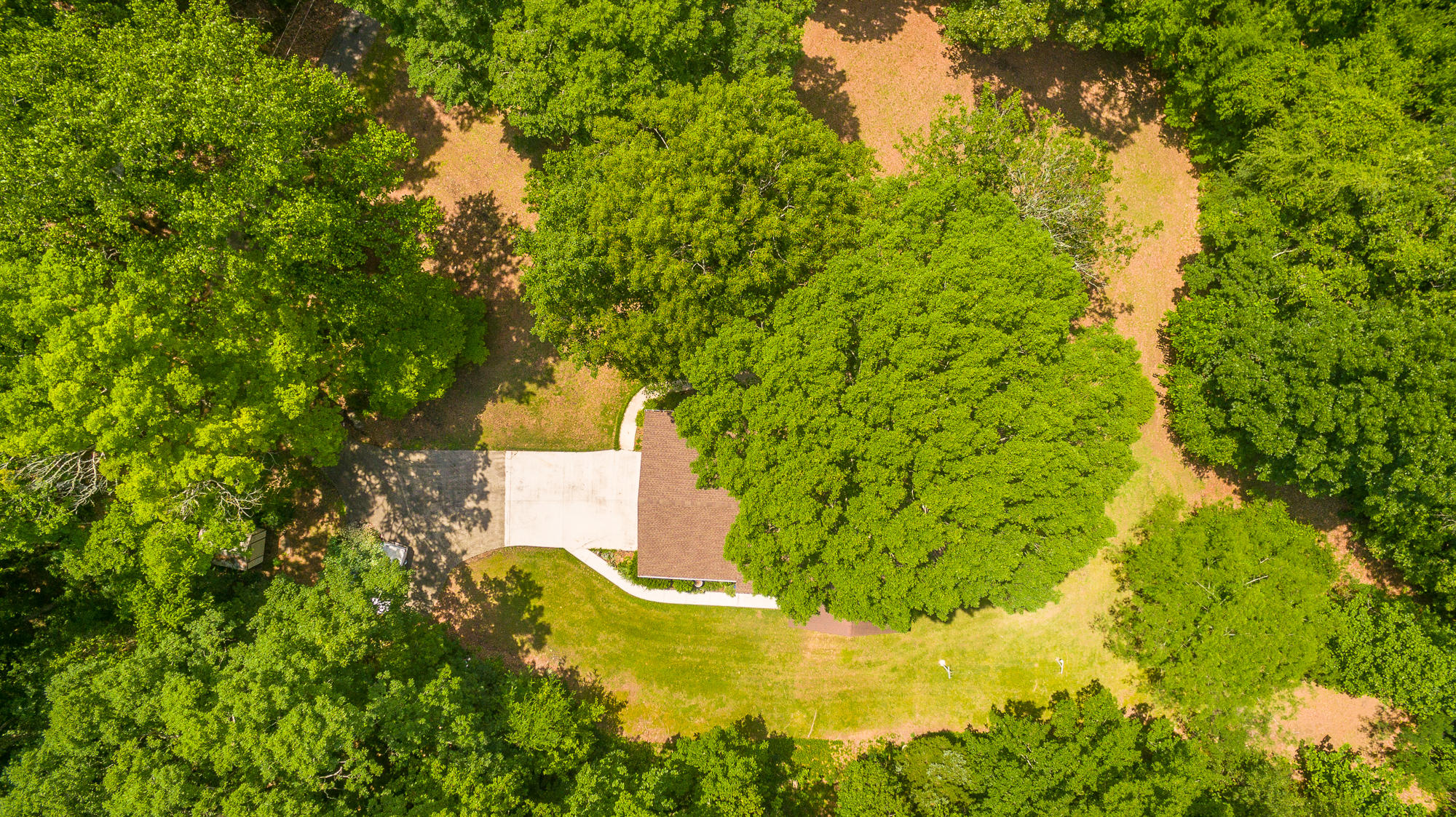 1656 Agency Creek Road Decatur, TN 37322 - Photo 72 of 72 1656 Mt. Carmel Road-114