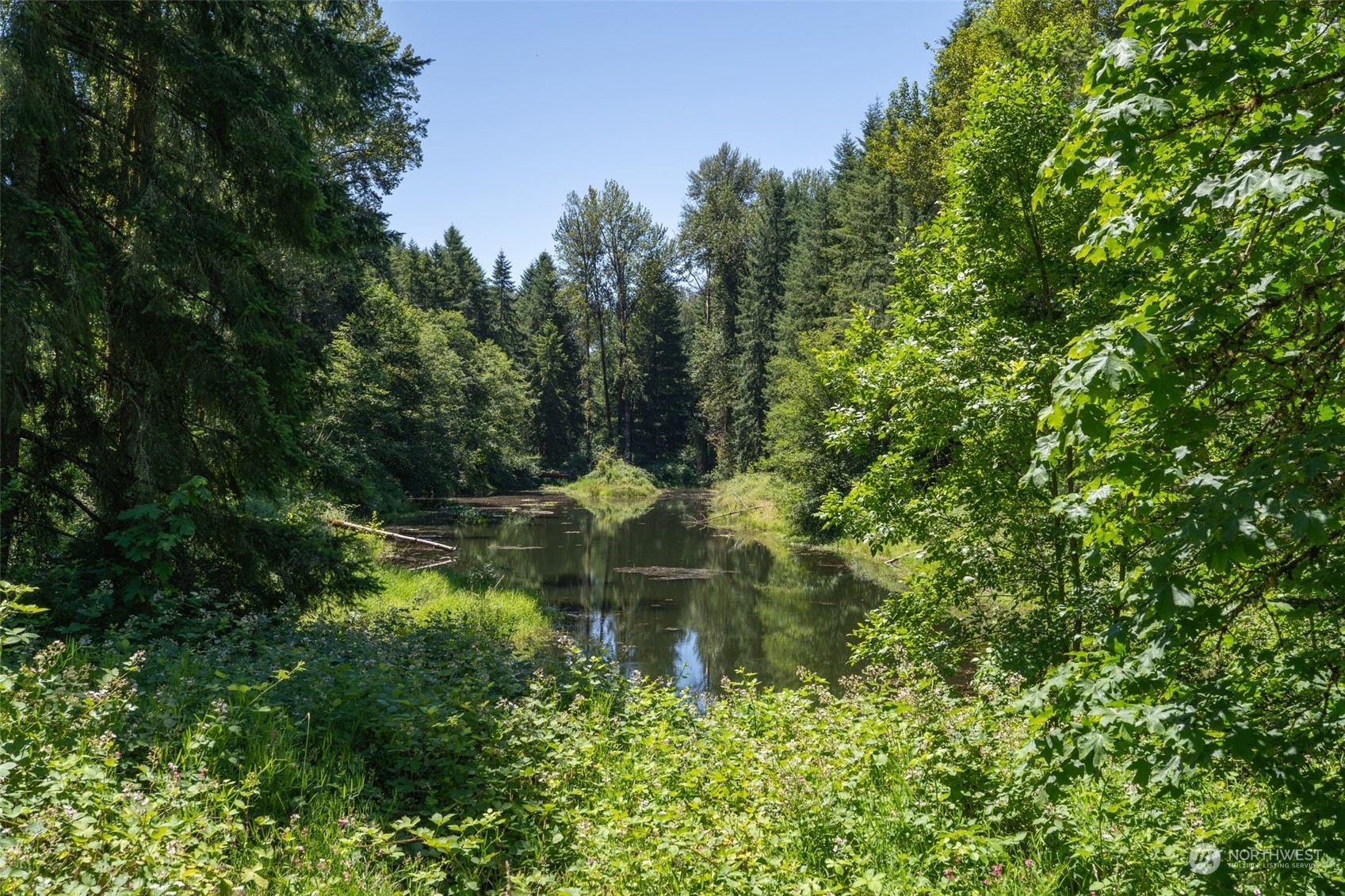 124 Mulford Road Toledo, WA 98591 - Photo 29 of 40 Gallery Image 29