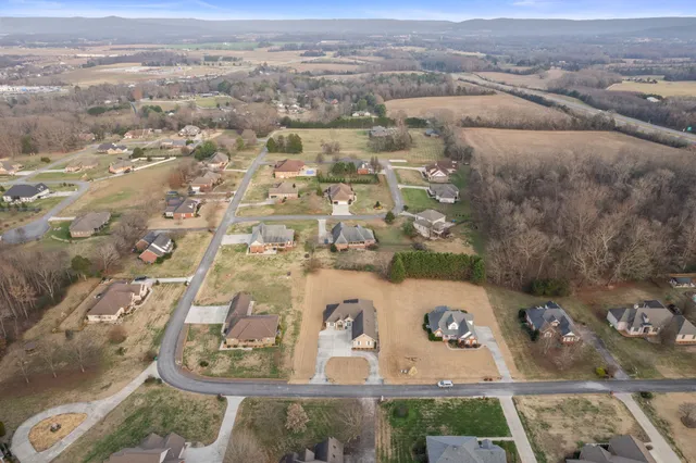 a view of a livingroom with wooden floor a ceiling fan and windows