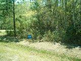 Lot 33 Buck Swamp Road Brunswick, GA 31523 - Photo 1 of 1 Gallery Image 1