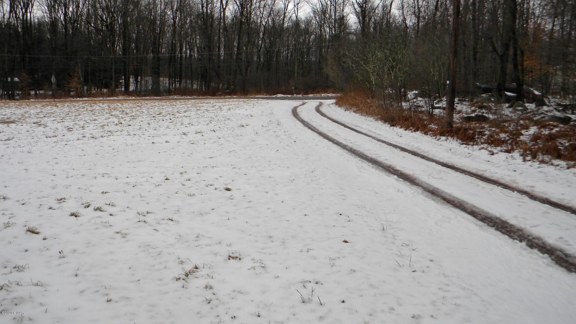 163 Catholic Church Road Beach Lake, PA 18405 - Photo 36 of 37 31-DRIVEWAY
