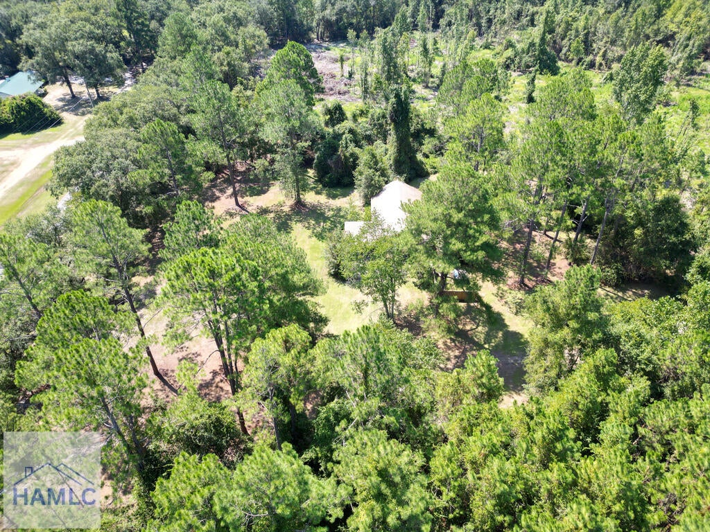 6578 Bethlehem Road Jesup, GA 31546 - Photo 36 of 41 Gallery Image 36