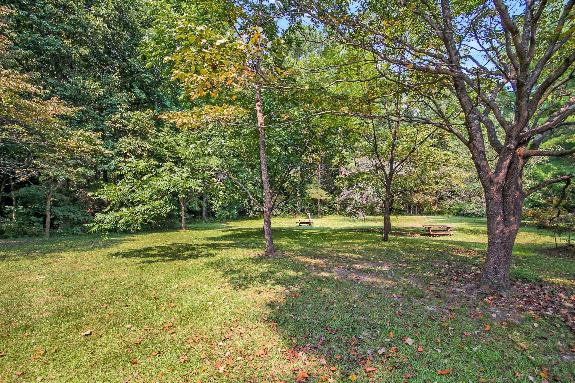 3609 Mitchell Mill Road Raleigh, NC 27616 - Photo 22 of 23 Photo 22