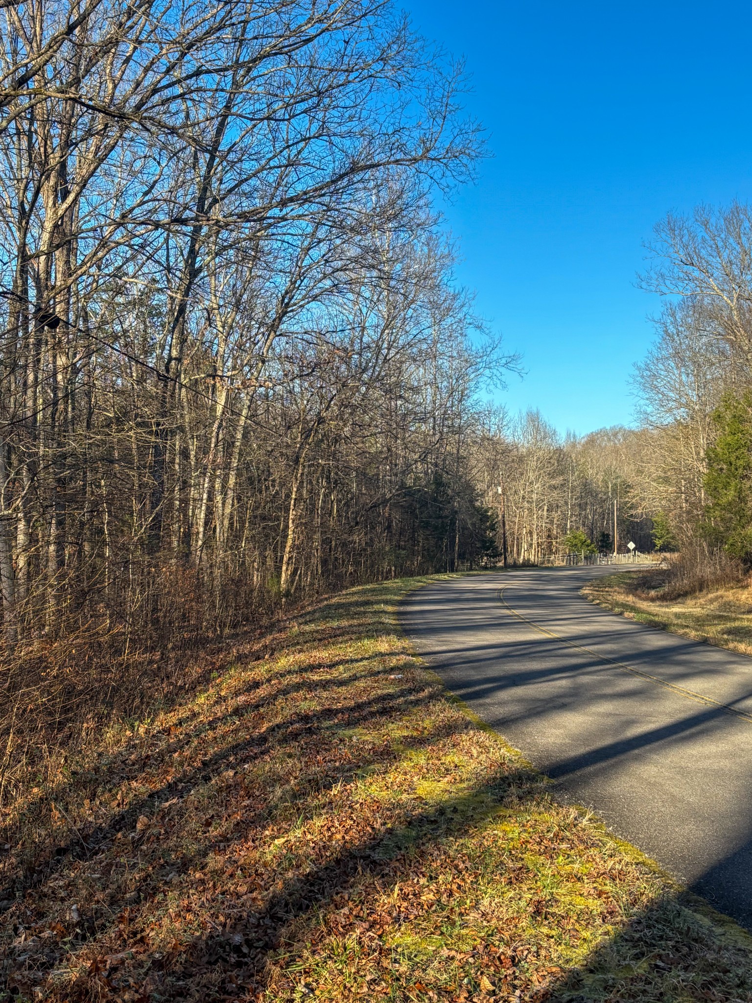 0 Only Road Only, TN 37140 - Photo 11 of 11 a view of a yard with large trees