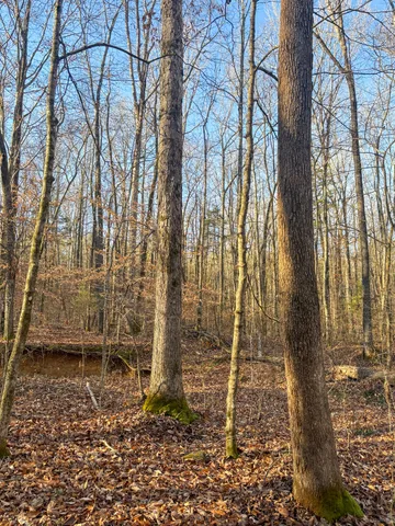 $49,900 | 0 Only Road, Only, TN 37140