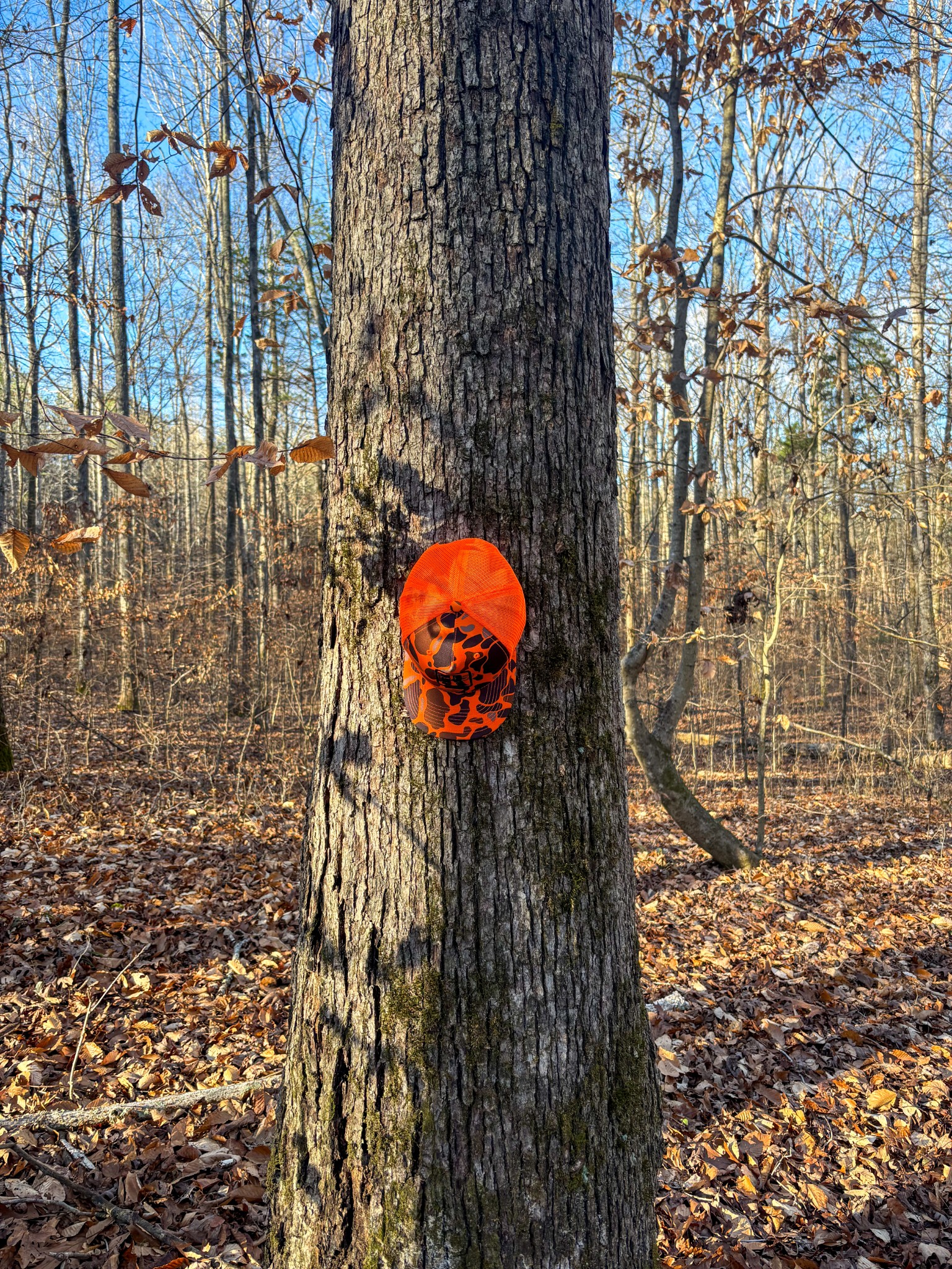 0 Only Road Only, TN 37140 - Photo 3 of 11 a picture of a bathroom with a shower curtain