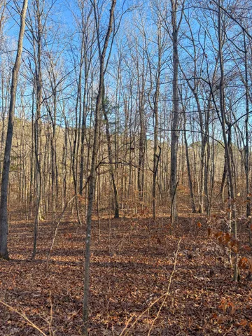 $49,900 | 0 Only Road, Only, TN 37140