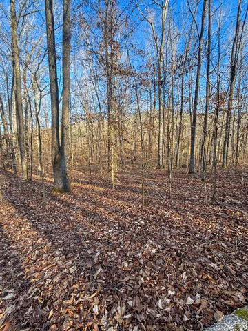 $49,900 | 0 Only Road, Only, TN 37140