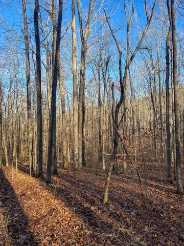 $49,900 | 0 Only Road, Only, TN 37140