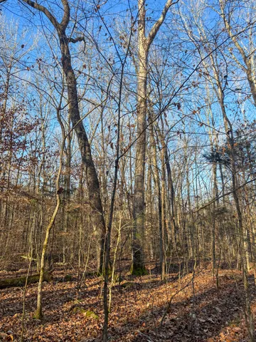 $49,900 | 0 Only Road, Only, TN 37140