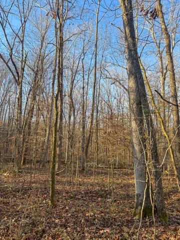 $49,900 | 0 Only Road, Only, TN 37140