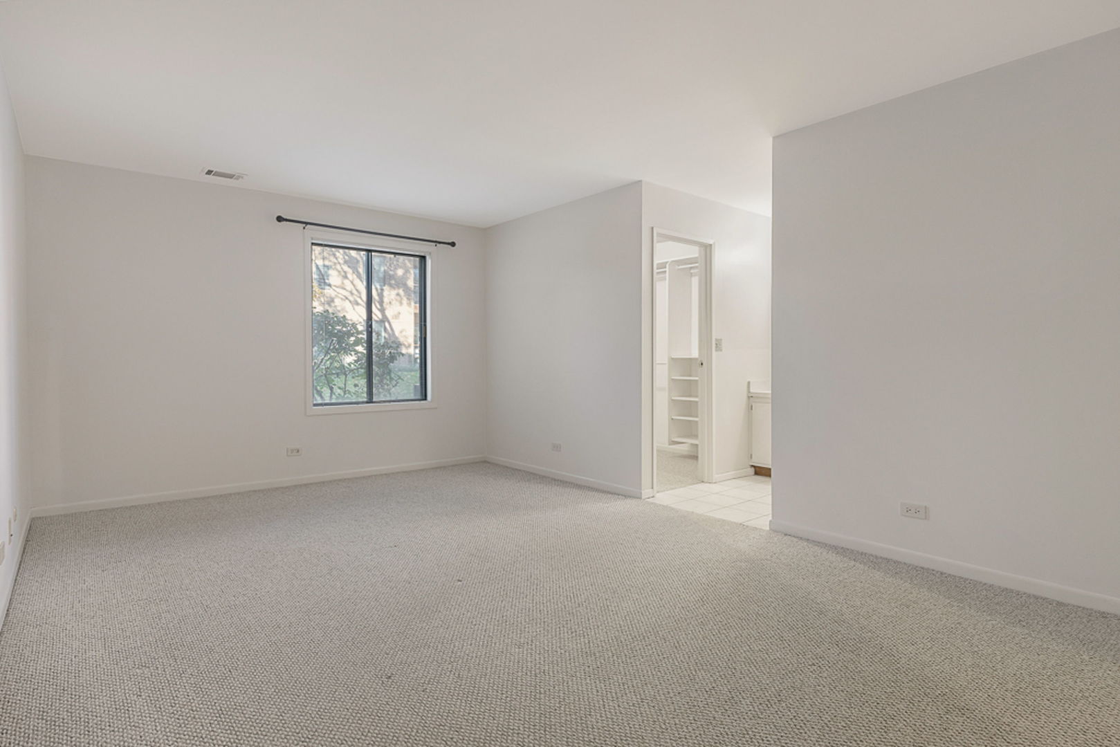 801 79th Street, Unit 103 Darien, IL 60561 - Photo 8 of 19 an empty room with windows and closet