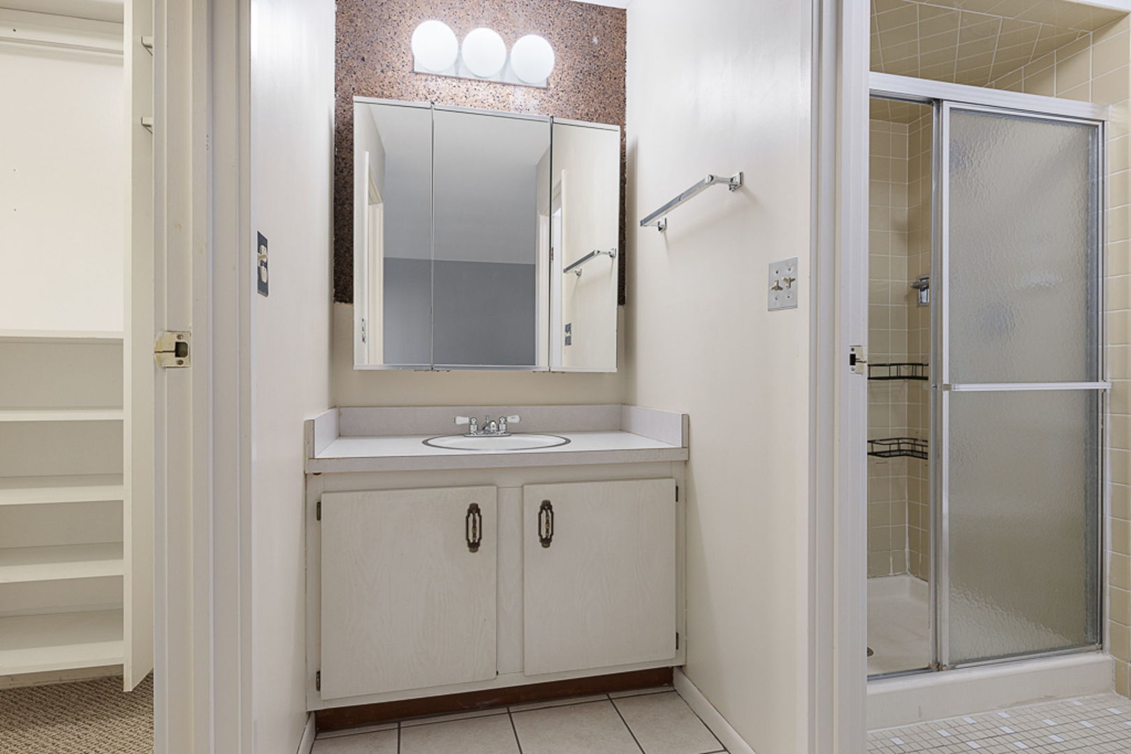 801 79th Street, Unit 103 Darien, IL 60561 - Photo 9 of 19 a bathroom with a sink and a mirror