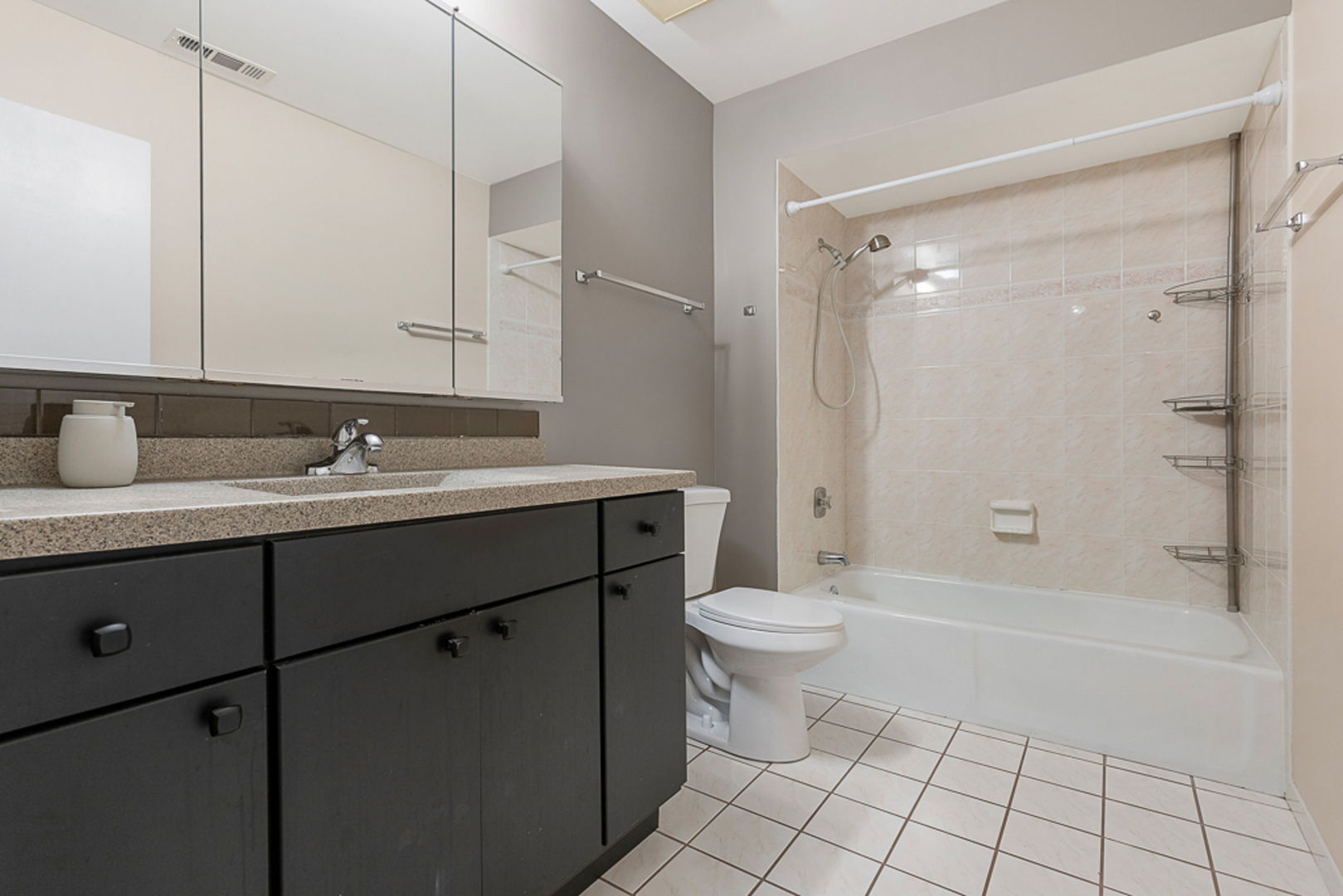 801 79th Street, Unit 103 Darien, IL 60561 - Photo 14 of 19 a bathroom with a sink toilet a mirror and shower
