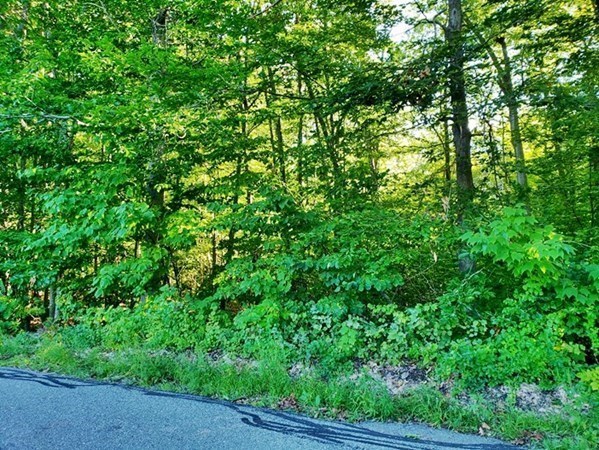 1 Billings Road Fitchburg, MA 01420 - Photo 3 of 5 Gallery Image 3