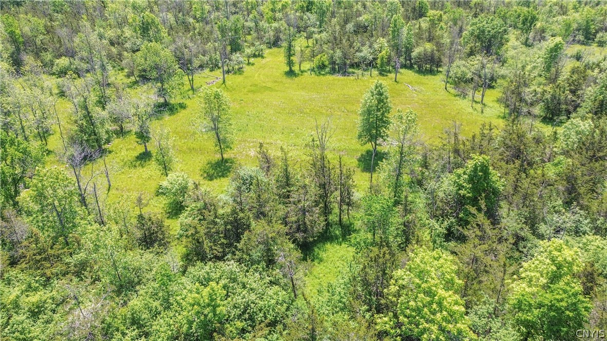 0 Middle Road Dexter, NY 13634 - Photo 9 of 23