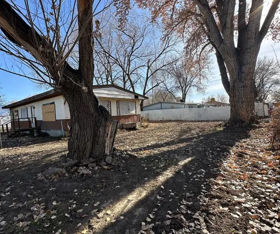 a view of a yard with a tree