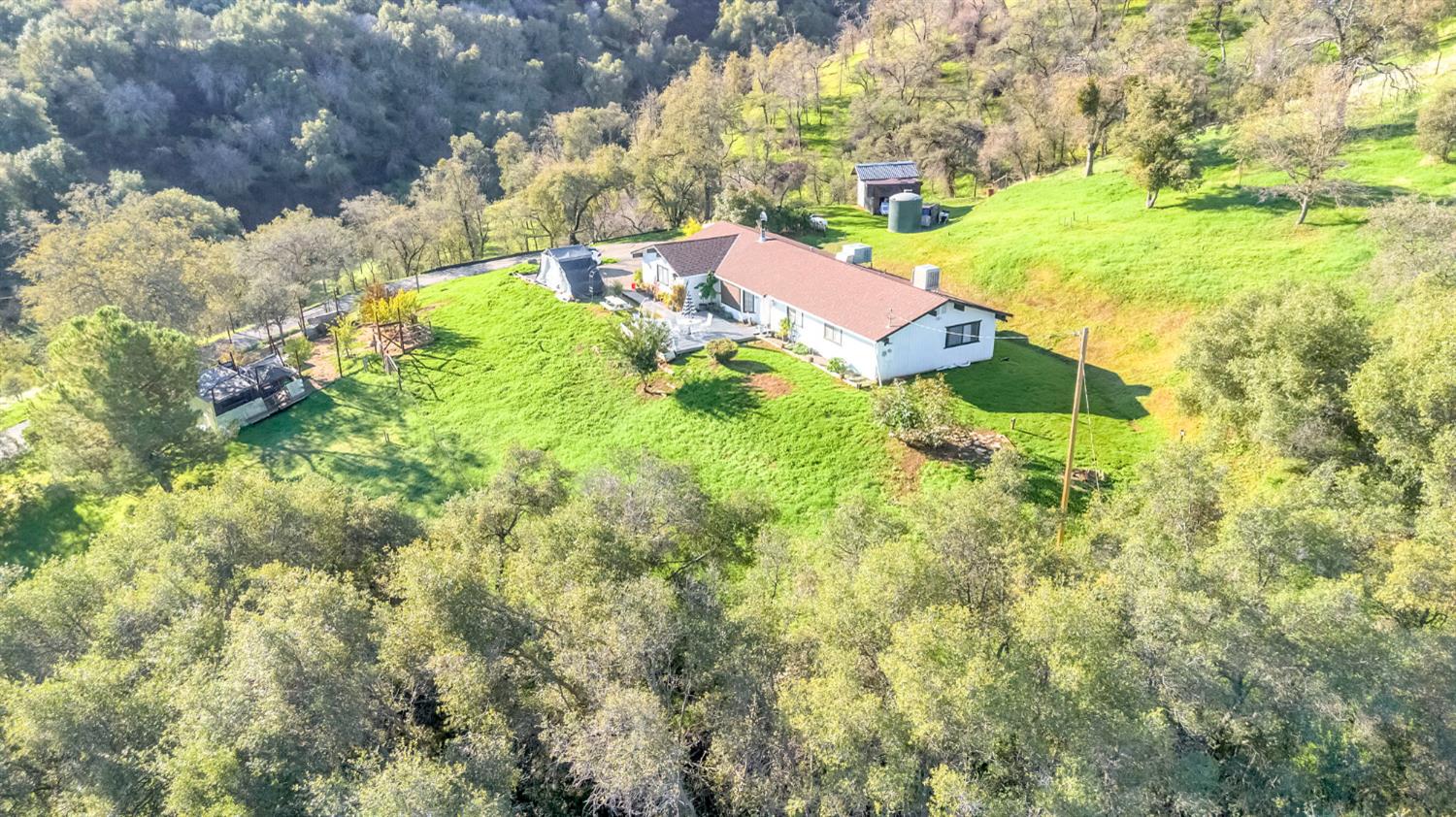 29668 Seminole Road Tollhouse, CA 93667 - Photo 11 of 28 a view of a tree with a yard