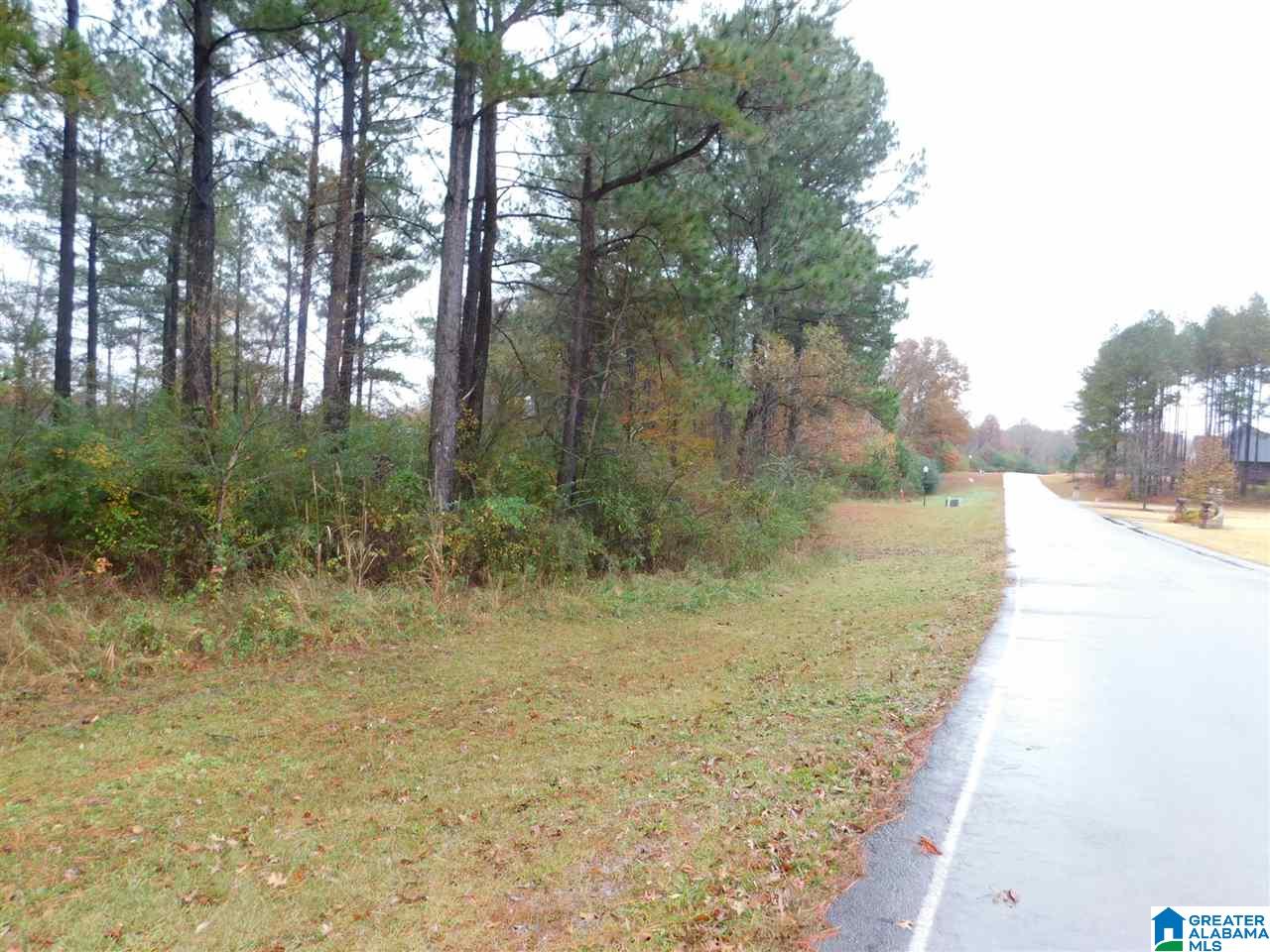 Montcrest Street South, Unit 26 & 77 Cullman, AL 35057 - Photo 8 of 14