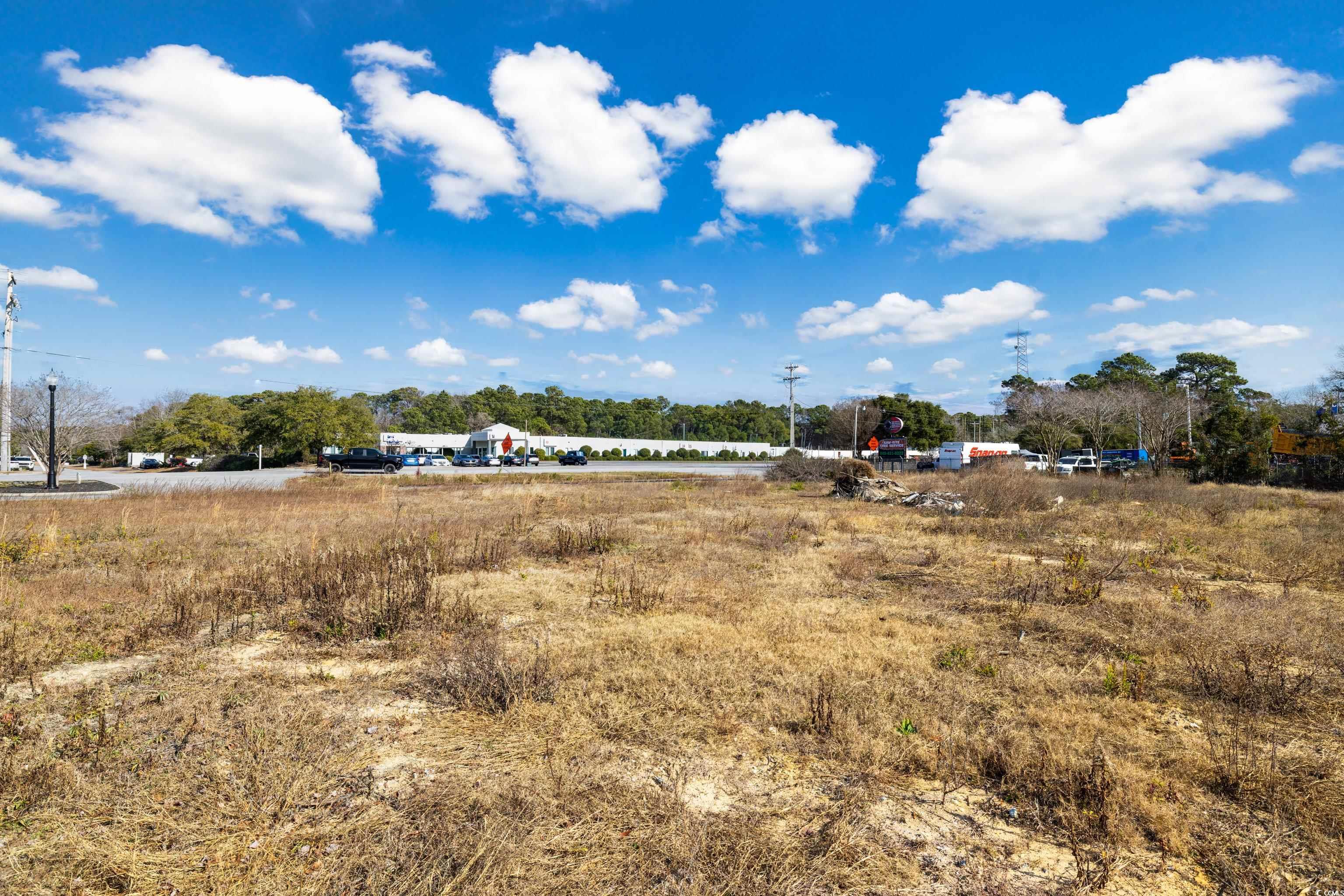 Inlet Square Drive Murrells Inlet, SC 29576 - Photo 7 of 7 View of yard with a view of rural / pastoral area