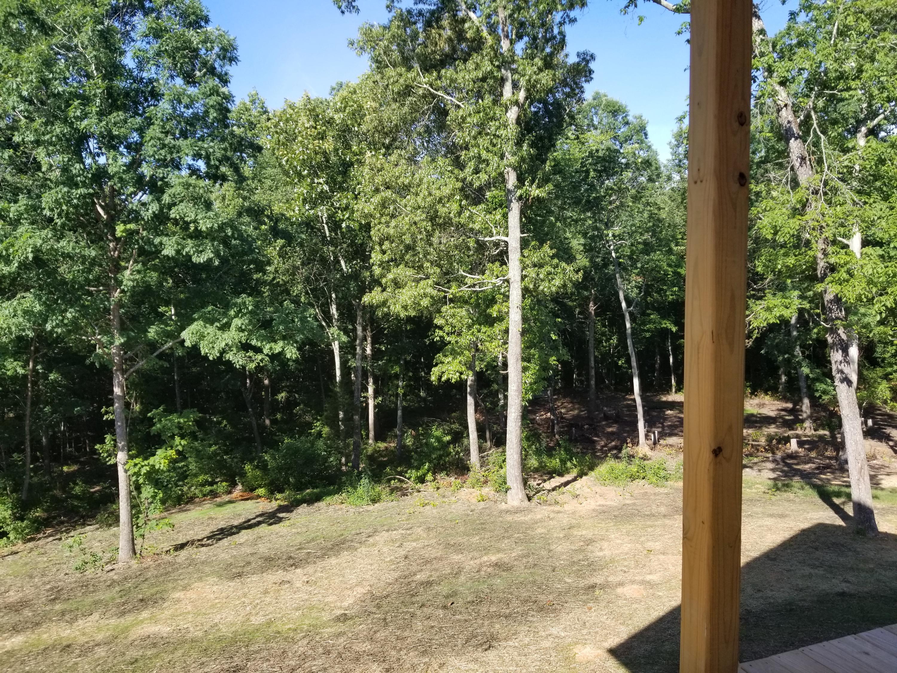 7532 Grasshopper Road, Unit LOT 7 Georgetown, TN 37336 - Photo 8 of 8 20190611_093418