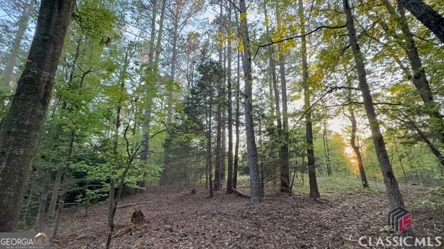 0 Moore Road Elberton, GA 30635 - Photo 10 of 67