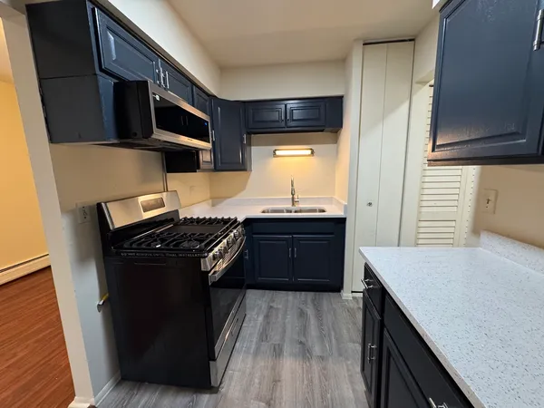 $1,900 | 7320 North Rogers Avenue, Unit 215, Chicago, IL 60626