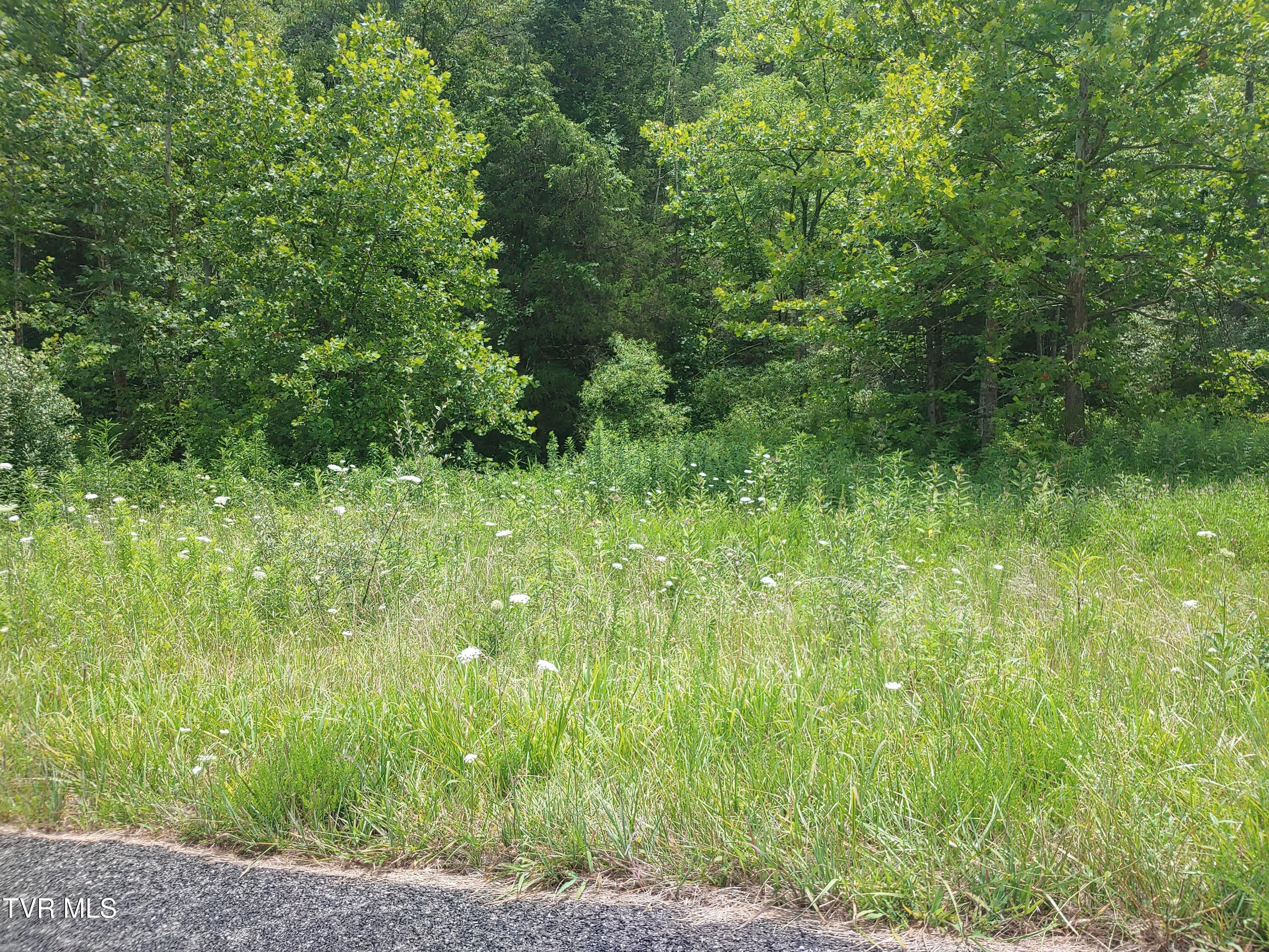 0 War Creek Road Eidson, TN 37731 - Photo 4 of 12 0705261410a