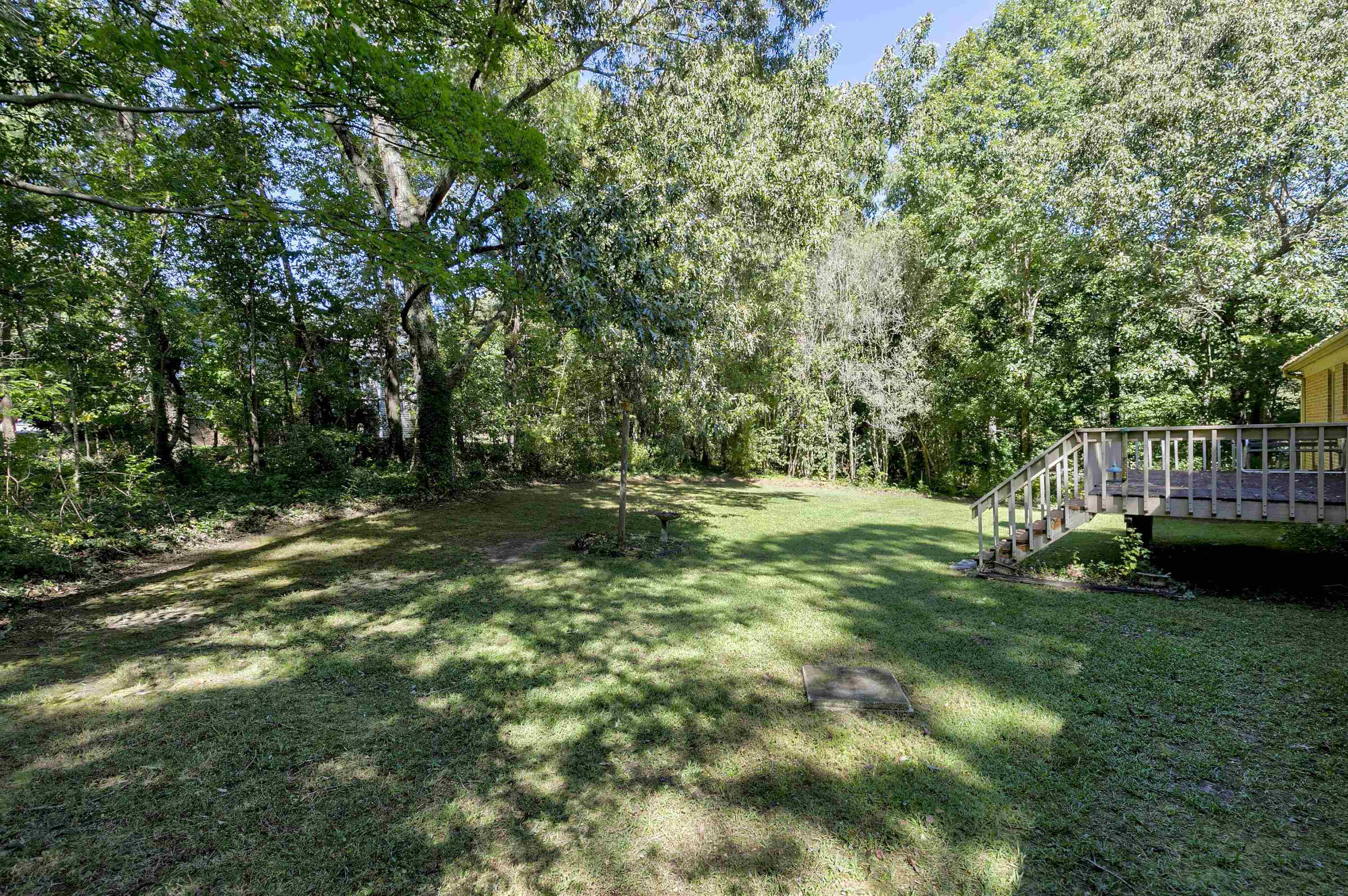 7013 Valley Drive Raleigh, NC 27612 - Photo 23 of 25 Hardwood trees, privacy and more...what else do you need! Back yard