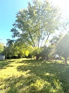 a view of yard with green space