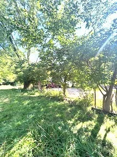 a view of an ocean from a yard