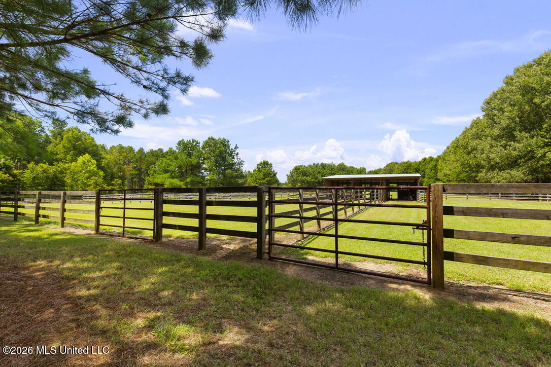 1454 Livingston Vernon Road Flora, MS 39071 - Photo 58 of 67 E2ED04E6-9370-4DAC-B557-81B6E0F55A2E_1_1