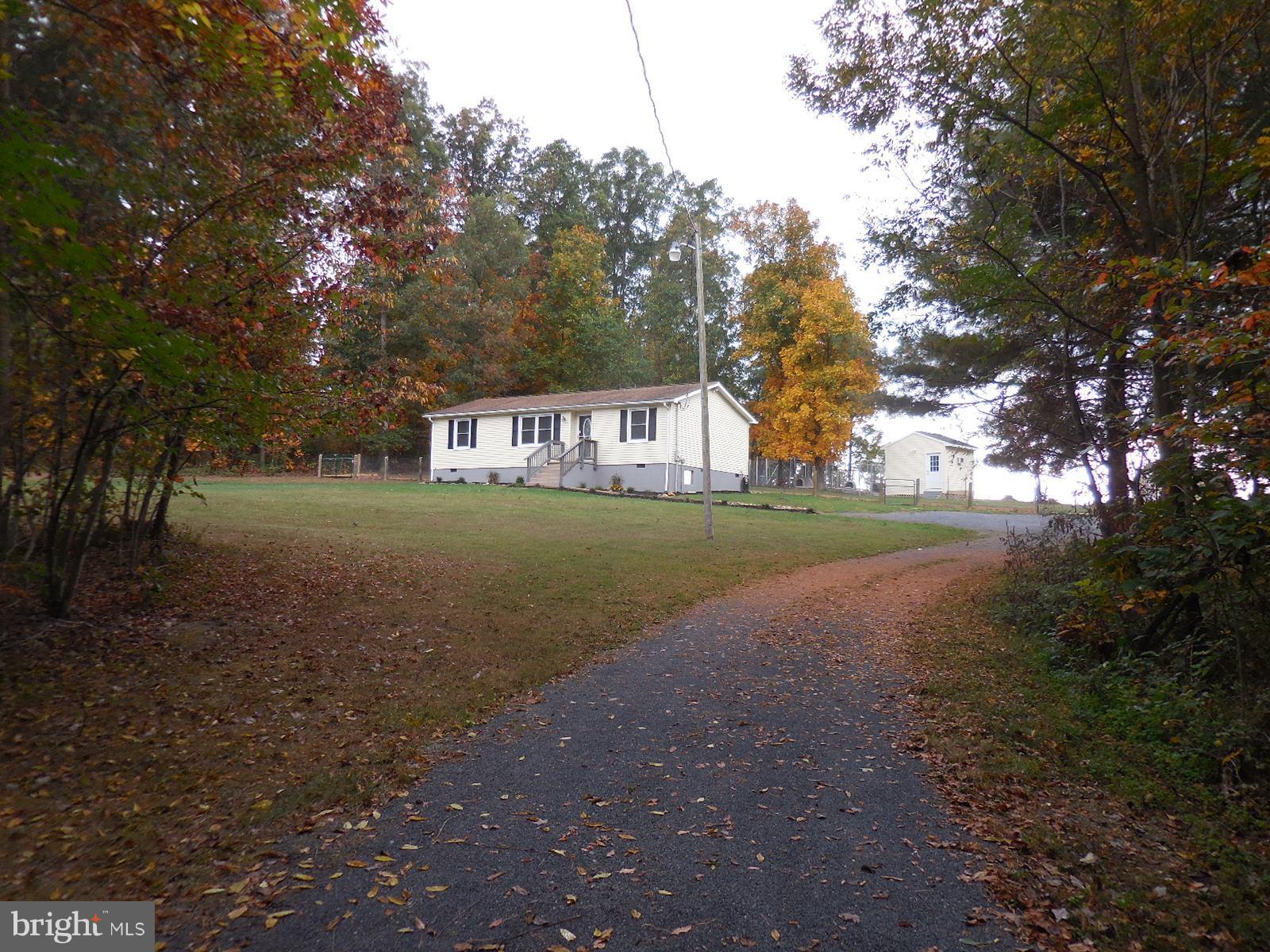 a view of street and trees