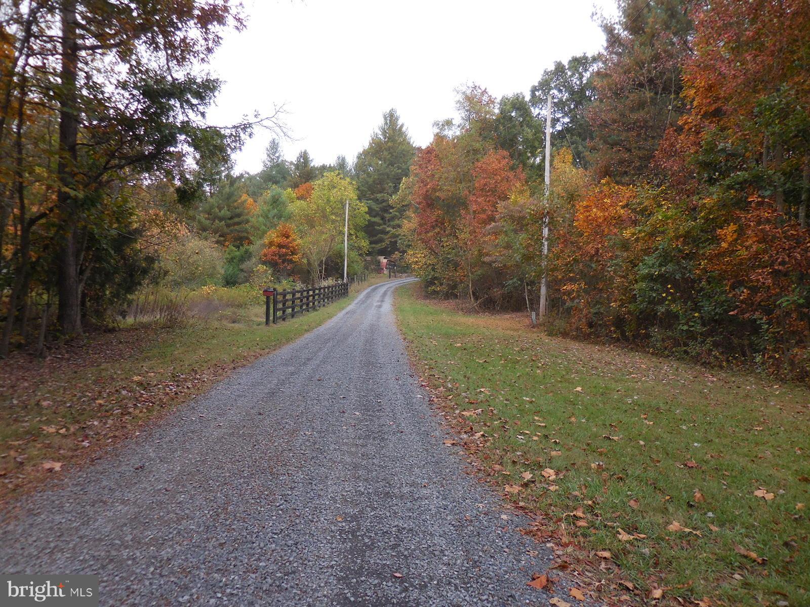 250 Outpost Road Luray, VA 22835 - Photo 11 of 25 a view of a yard with trees