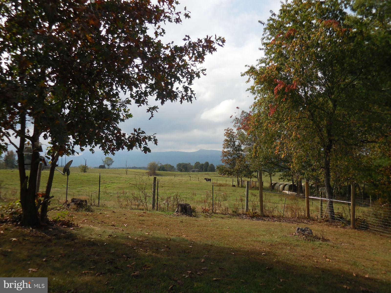 250 Outpost Road Luray, VA 22835 - Photo 6 of 25 a view of a park