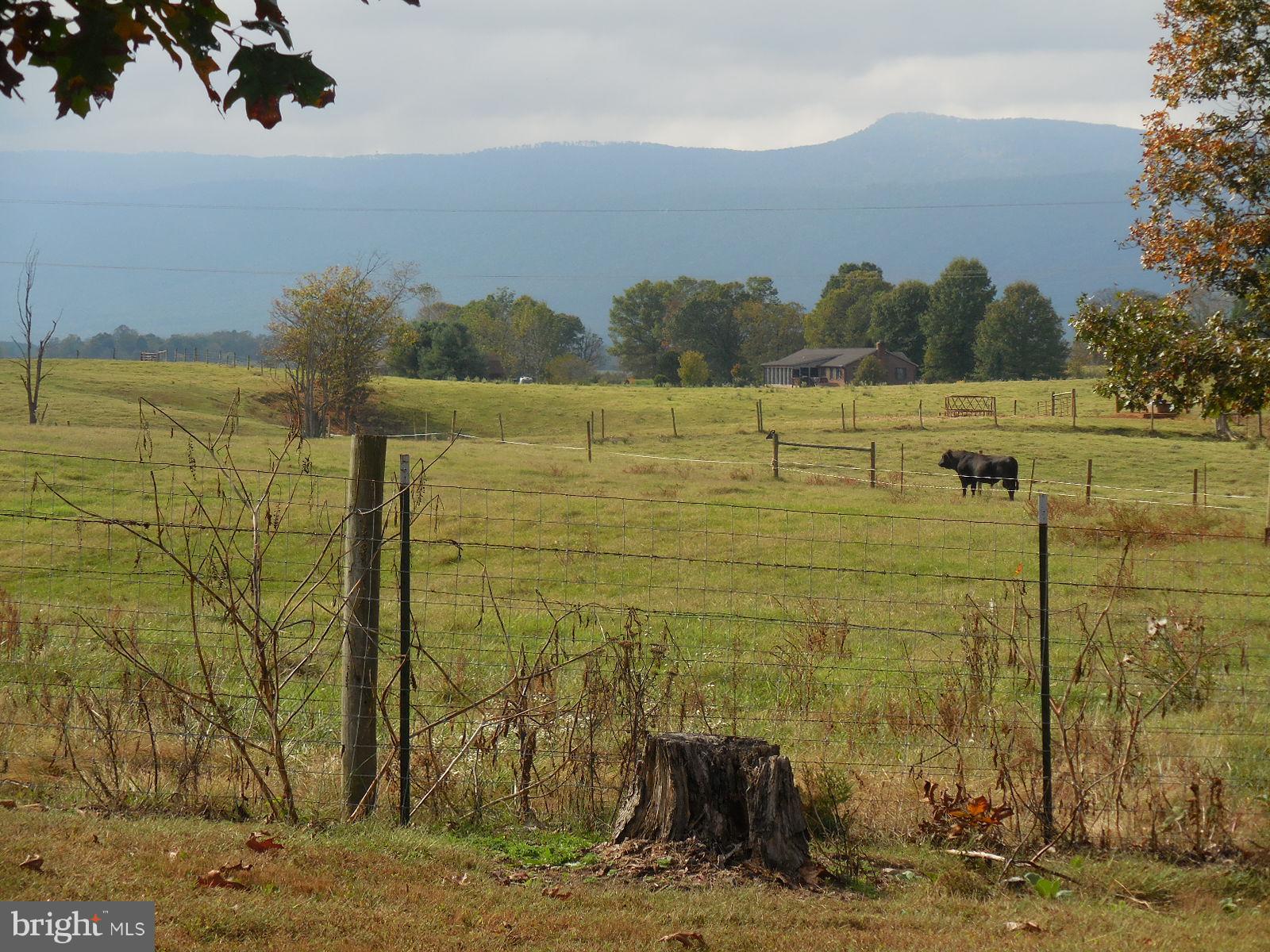 250 Outpost Road Luray, VA 22835 - Photo 7 of 25 a view of lake