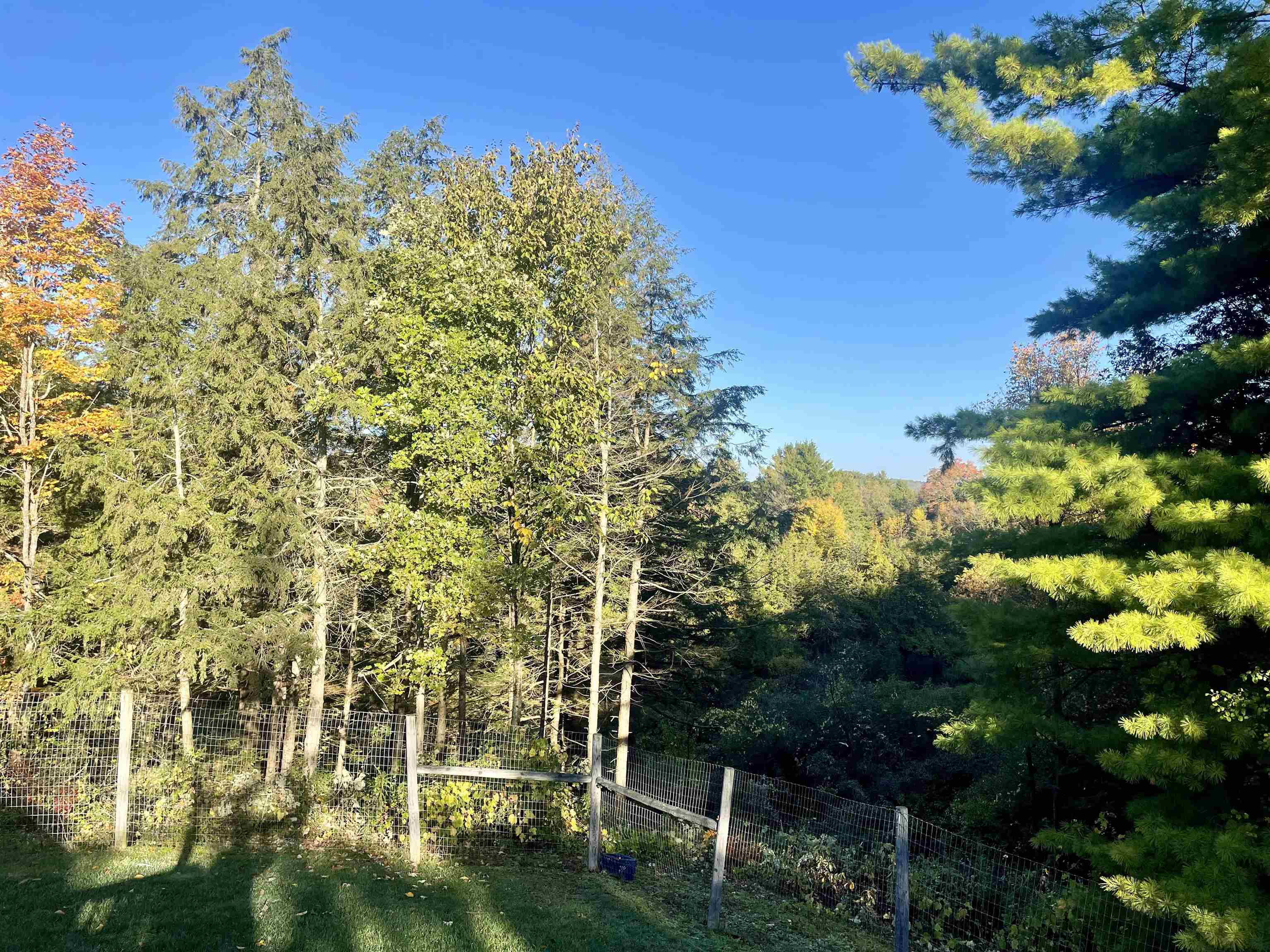 205 Cedar Ridge Drive Cornwall, VT 05753 - Photo 44 of 45 Gallery Image 44