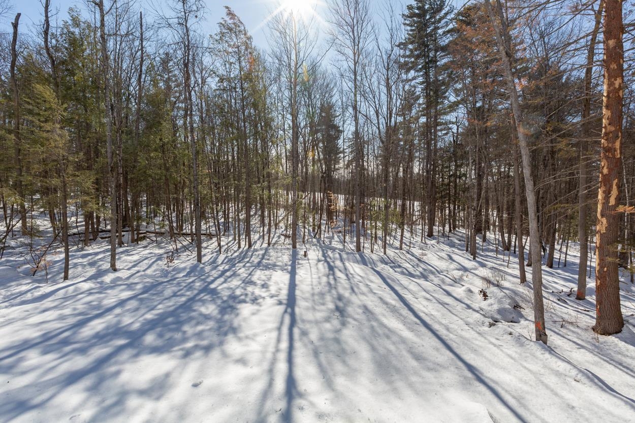 123 Carter Hill Road Concord, NH 03303 - Photo 39 of 40 Gallery Image 39
