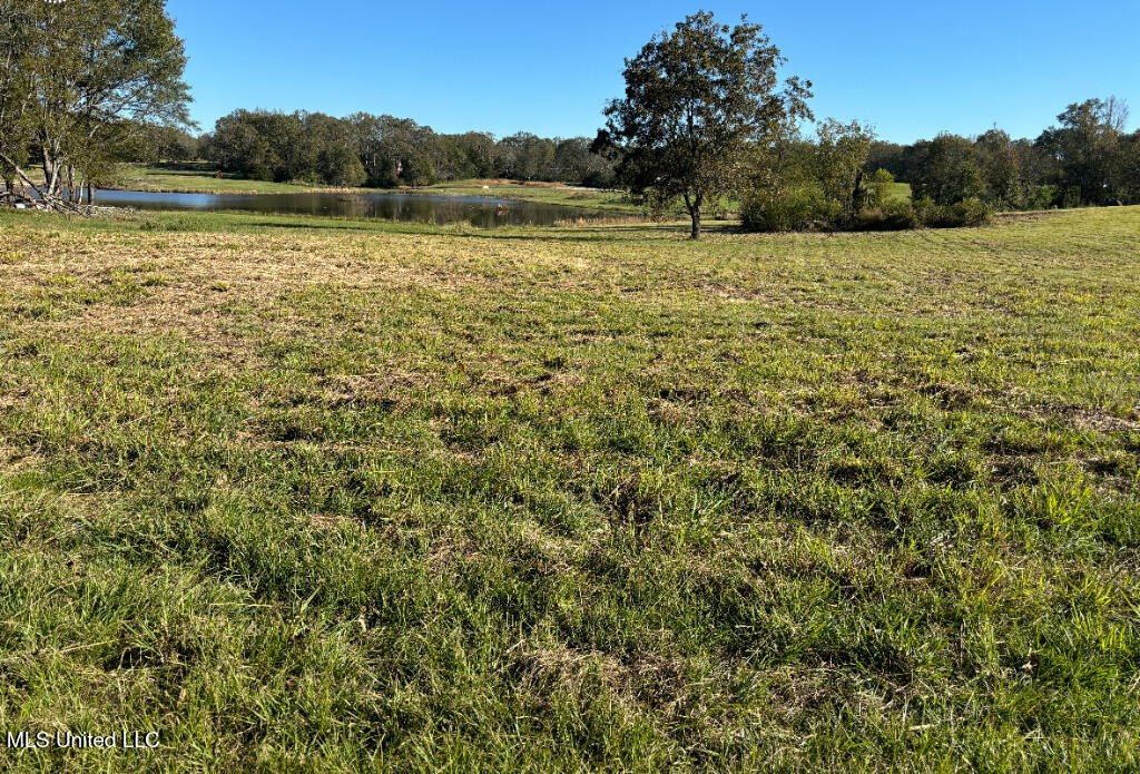 1029 North Ratliff Road Clinton, MS 39056 - Photo 2 of 6 01