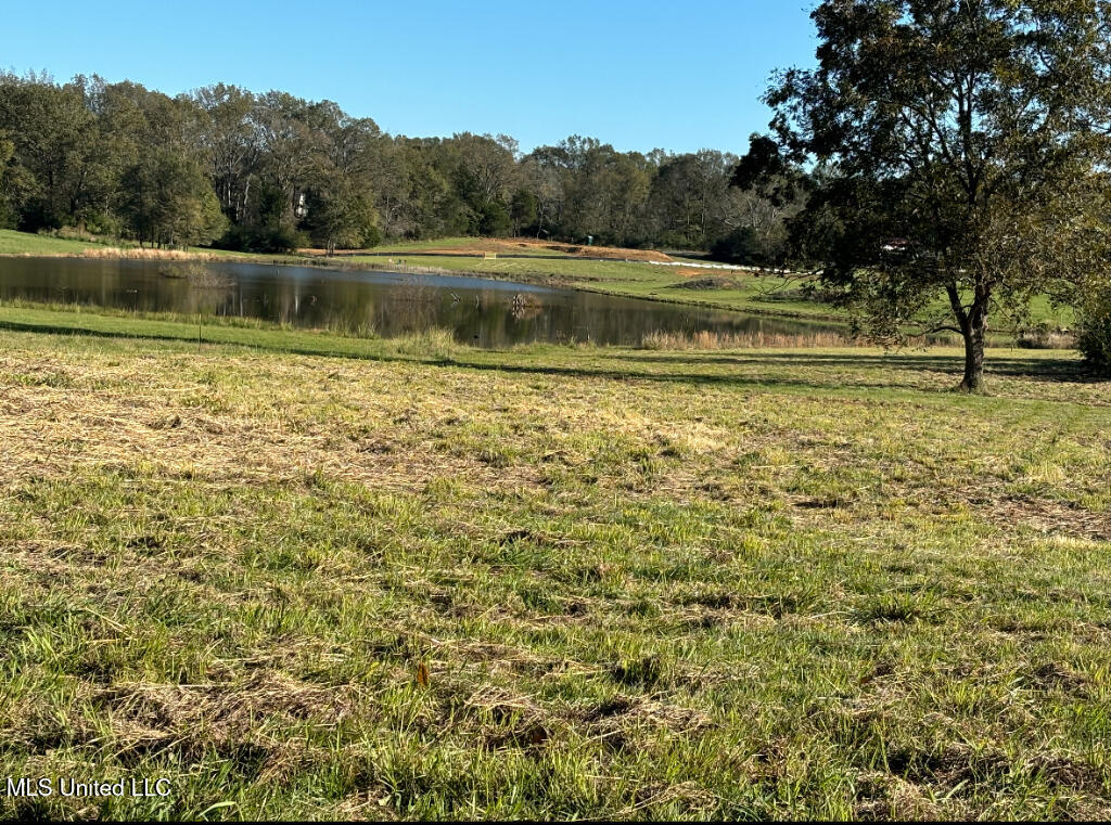 1029 North Ratliff Road Clinton, MS 39056 - Photo 3 of 6 02