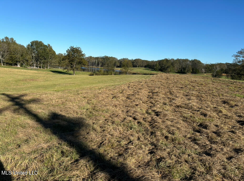 1029 North Ratliff Road Clinton, MS 39056 - Photo 4 of 6 03