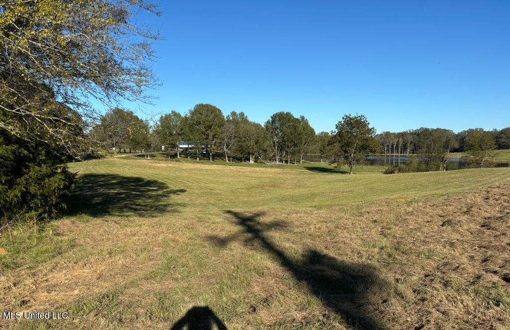 1029 North Ratliff Road Clinton, MS 39056 - Photo 5 of 6 04