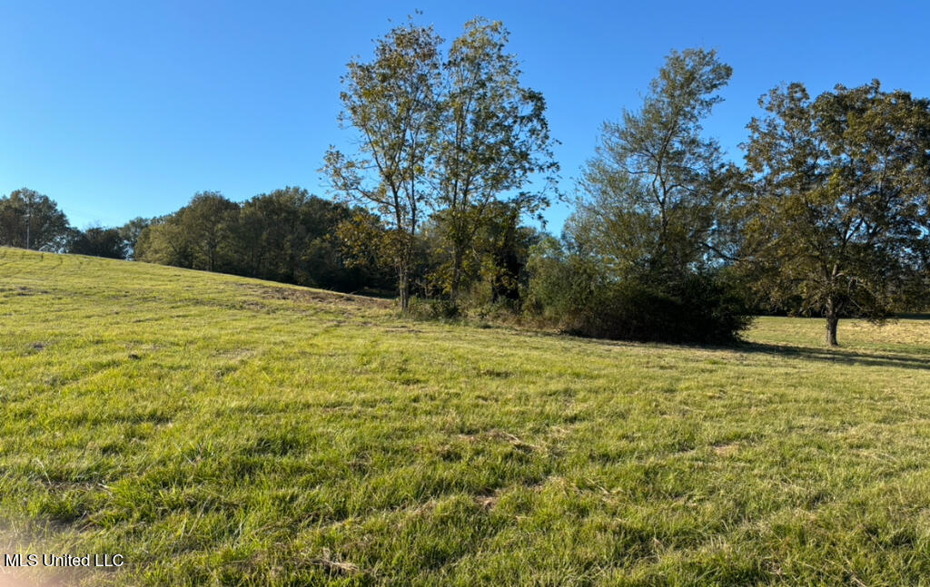 1029 North Ratliff Road Clinton, MS 39056 - Photo 6 of 6 05