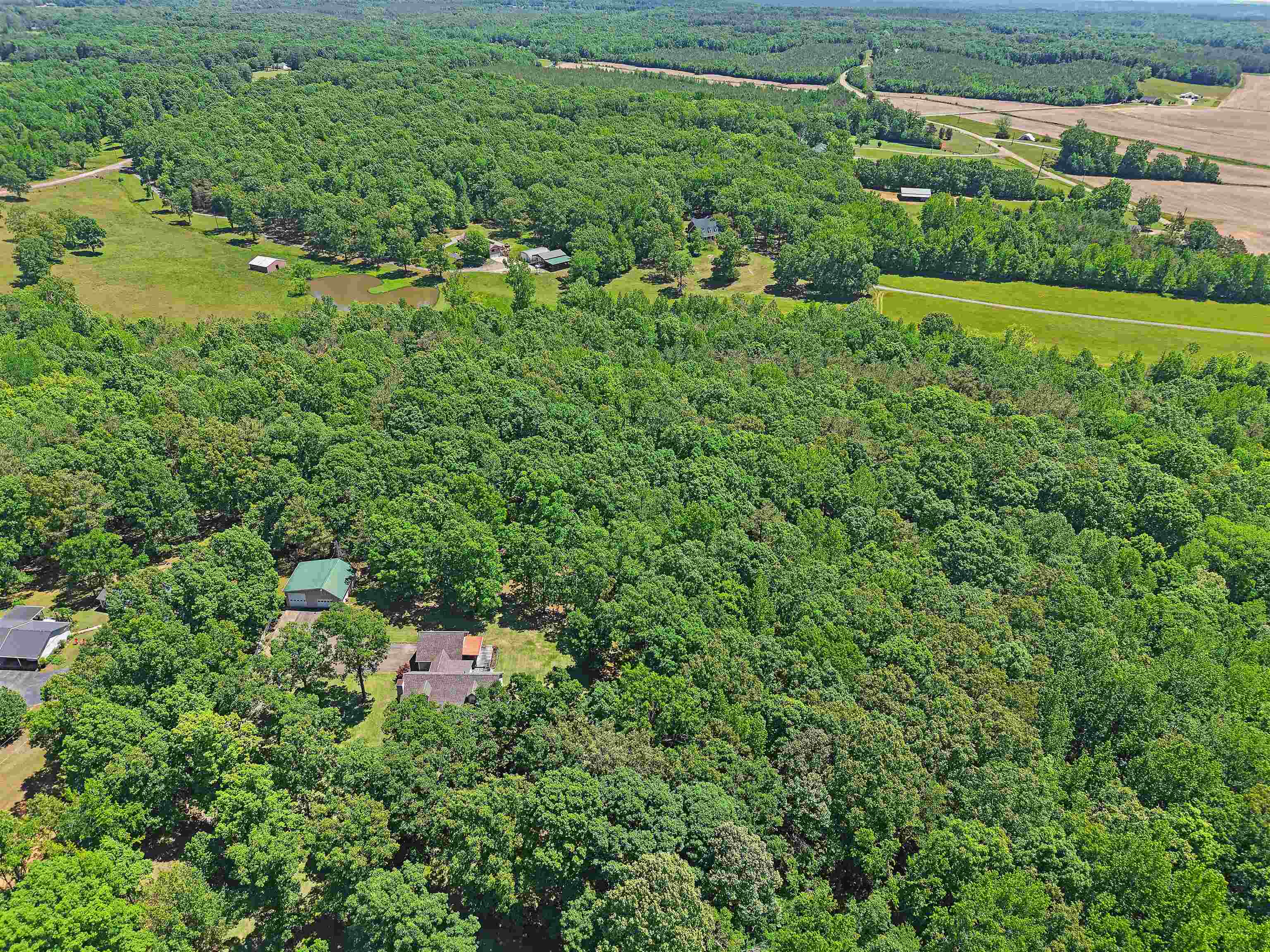 260 Moore Road Selmer, TN 38375 - Photo 29 of 32