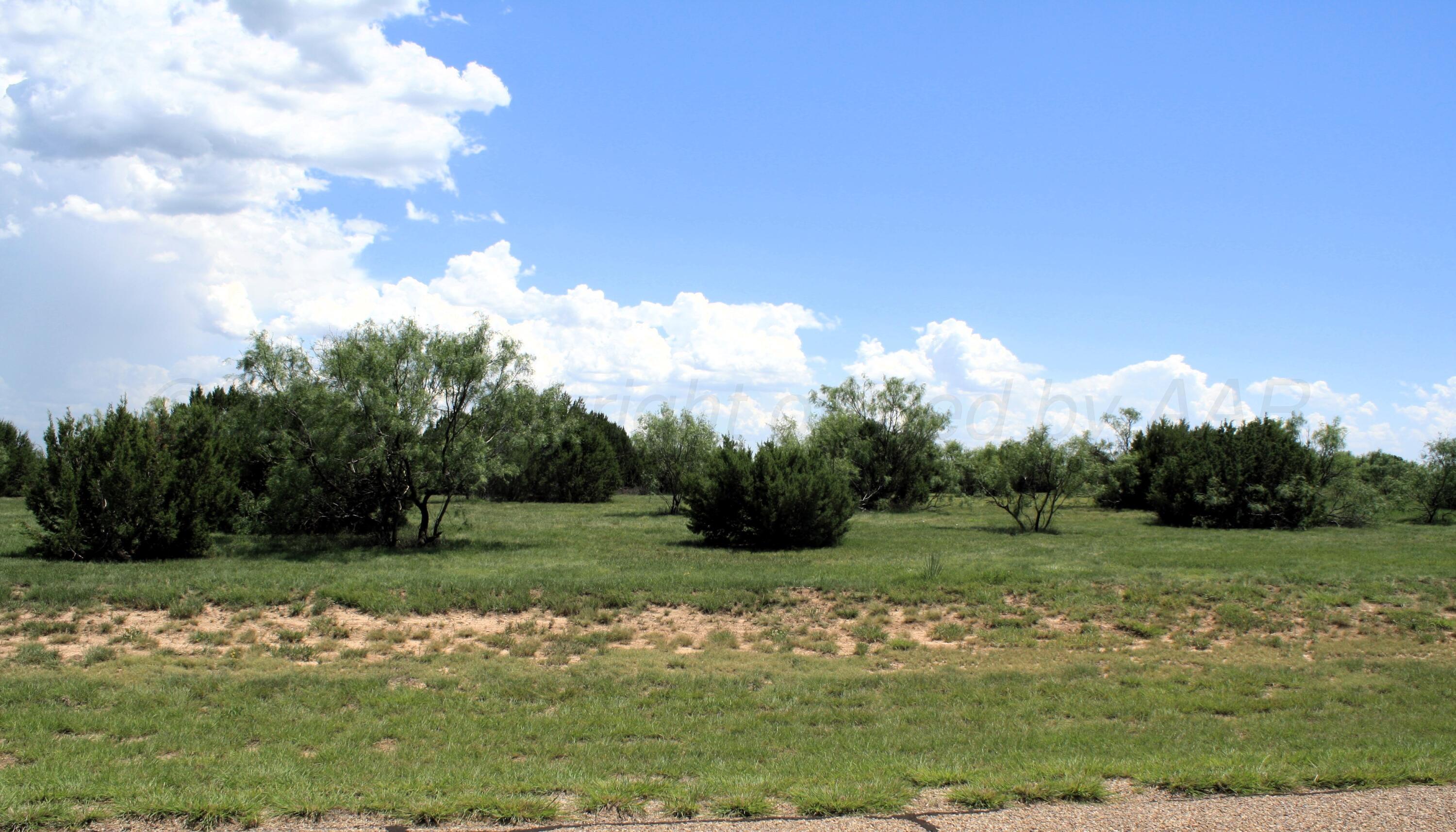 120 Ranch Parkway Canyon, TX 79015 - Photo 3 of 6 a view of a grassy field