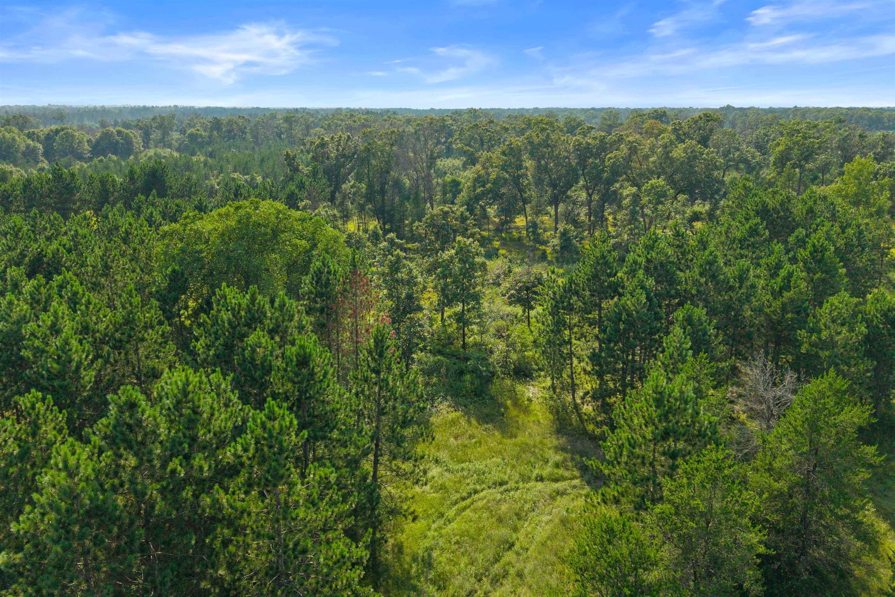 Lot 9 10th Necedah, WI 54646 - Photo 13 of 14