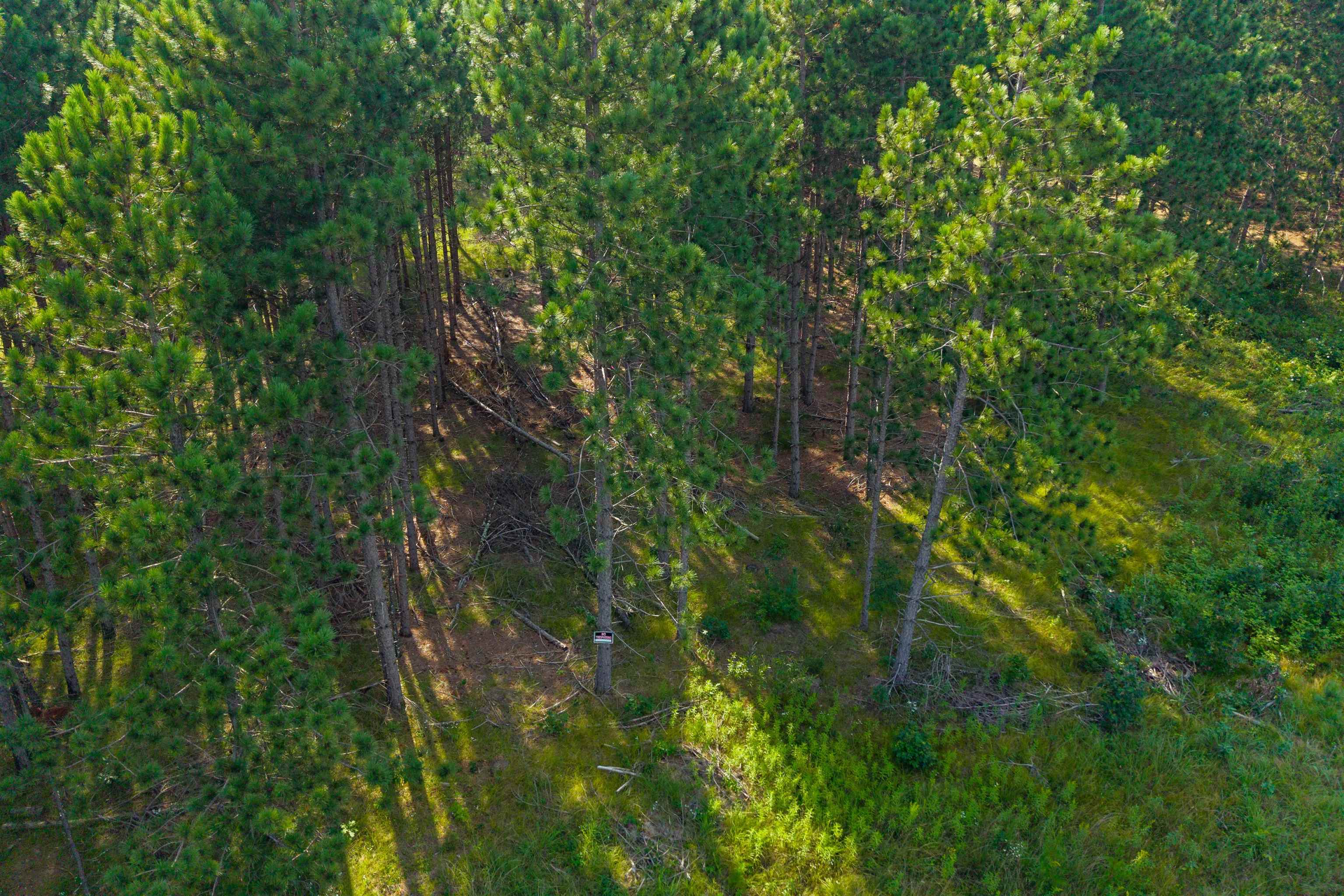 Lot 9 10th Necedah, WI 54646 - Photo 3 of 14