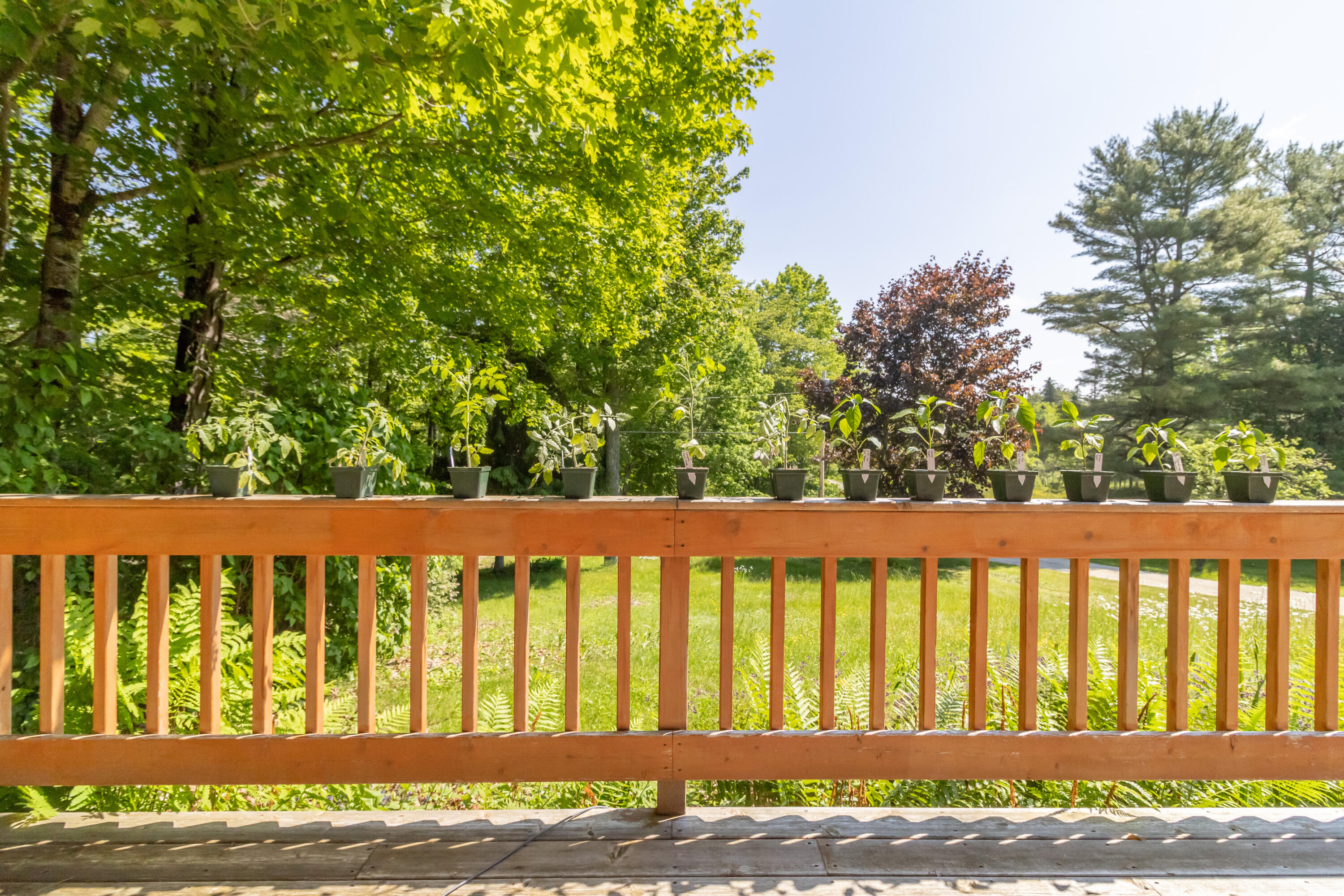 445 Back Ridge Road Orland, ME 04472 - Photo 55 of 66 445 Back Ridge Road Interiors-41
