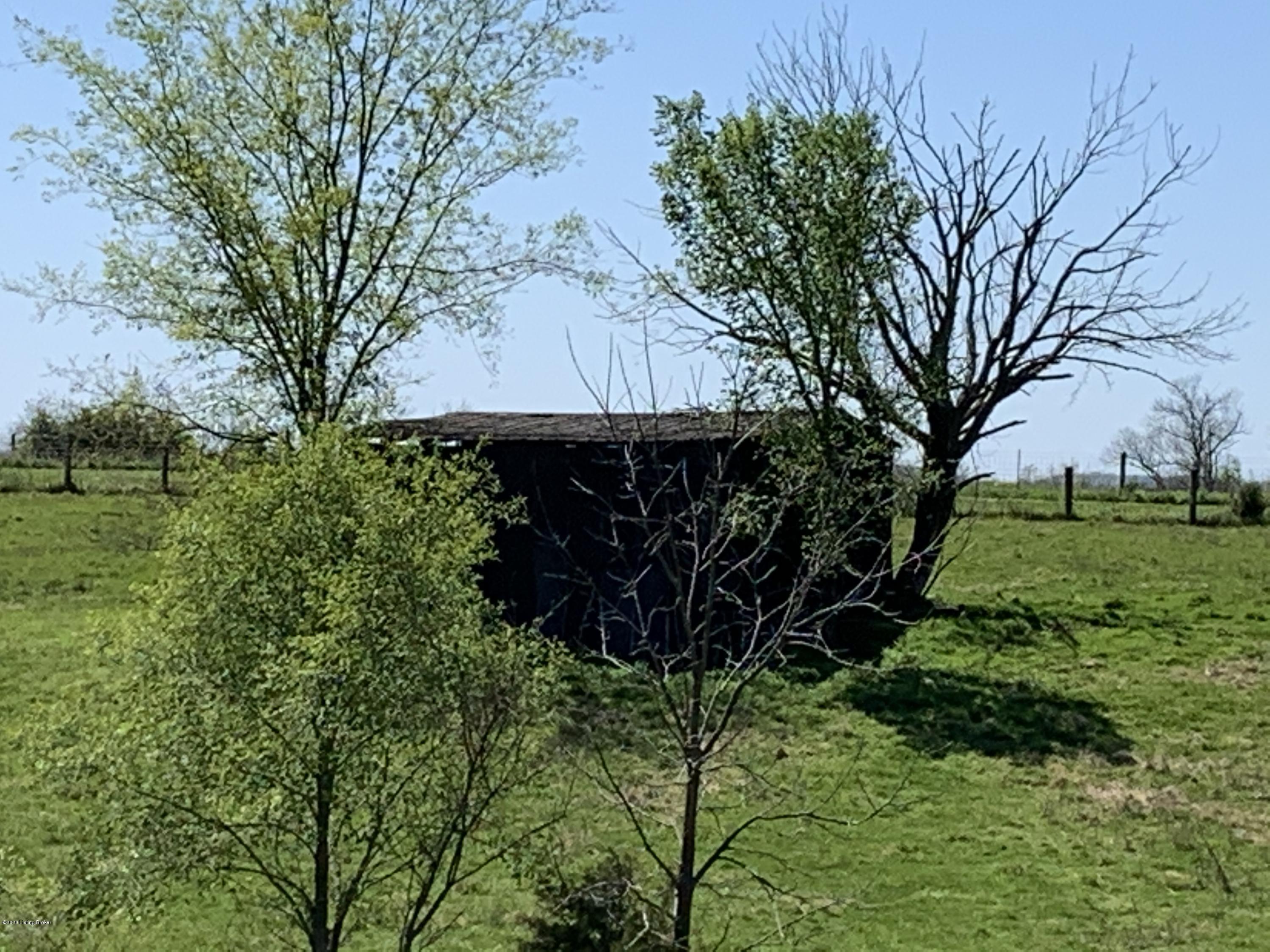 Lot #2 Irish Ridge Road Bardstown, KY 40004 - Photo 17 of 47 BARN 3 (1)