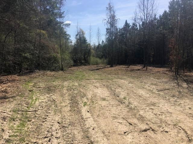 5-ac Dyess Dairy Road Opp, AL 36467 - Photo 1 of 13 Gallery Image 1